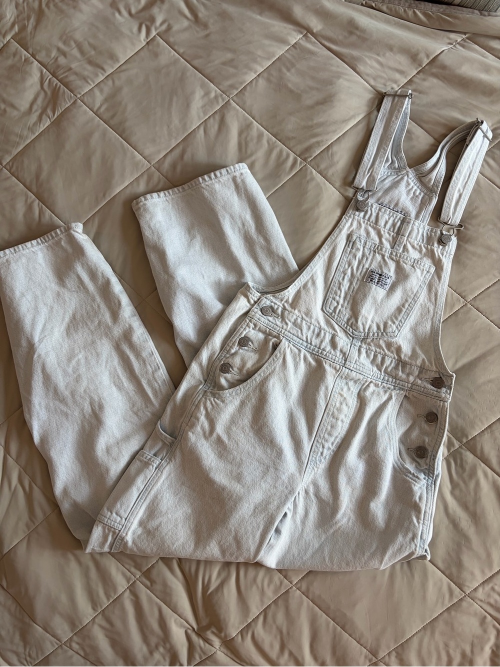 Levi’s Women Carpenter Baggy Overalls